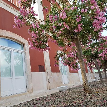 Dimora D'Amato Bed & Breakfast Grumo Appula Ngoại thất bức ảnh